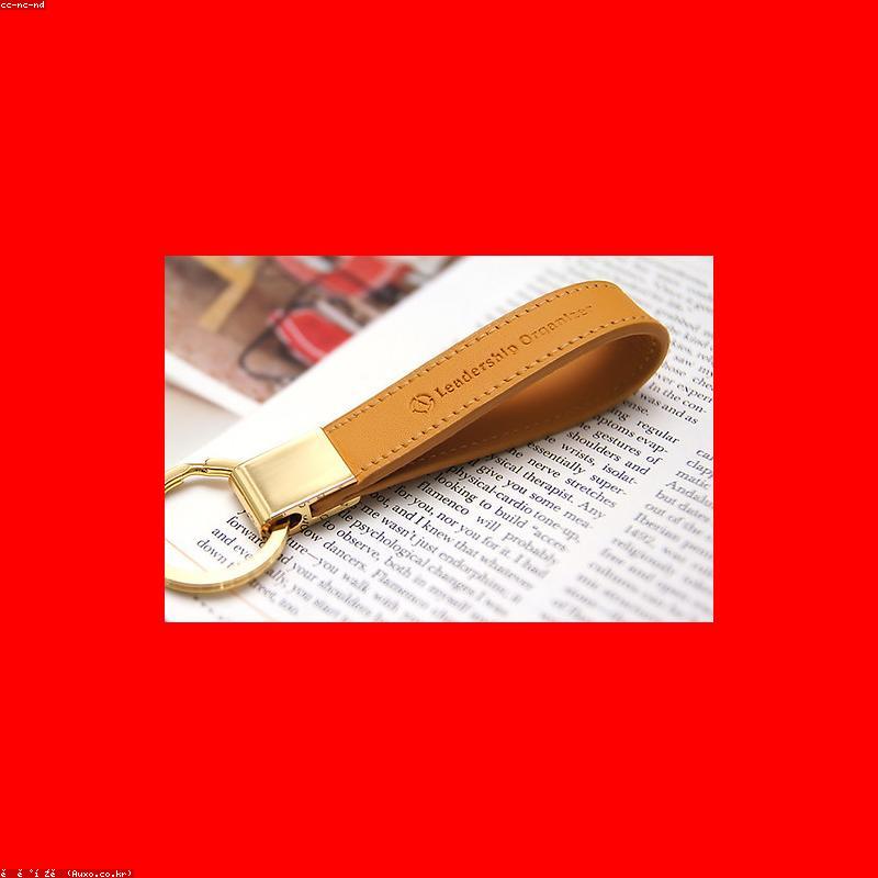 Brass & Leather Key Organiser