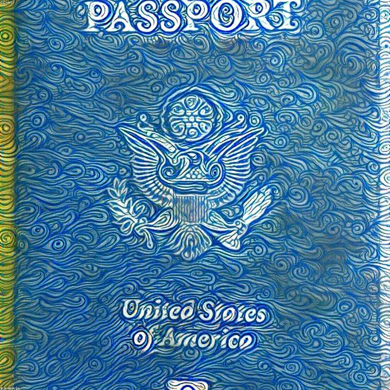 Suede Passport Cover — Olive